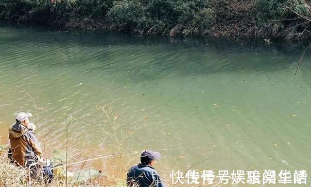钓阳|冬天一冷,鱼就不好钓,庆幸我有百试百灵的套路,每次钓完特过瘾