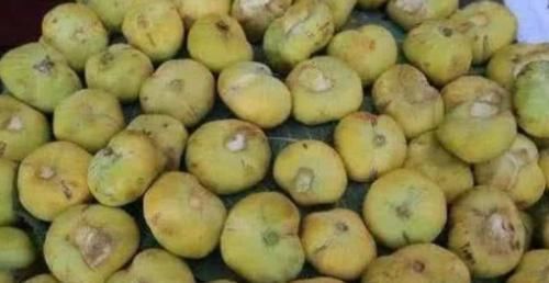 养颜|女性推荐常吃3种食物，补血养颜、延缓衰老，谁吃谁受益！