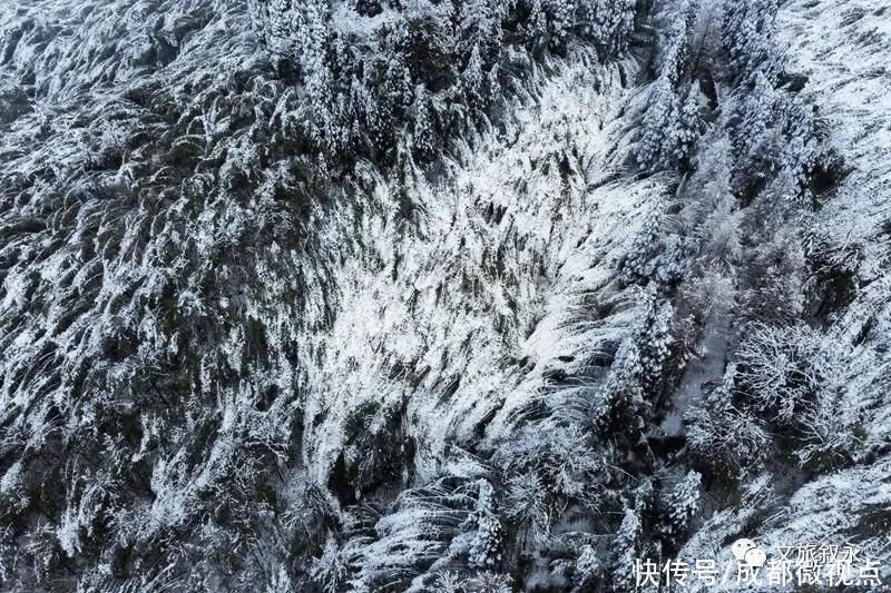 林海雪原|想看“林海雪原”，不用去东北，叙永就有