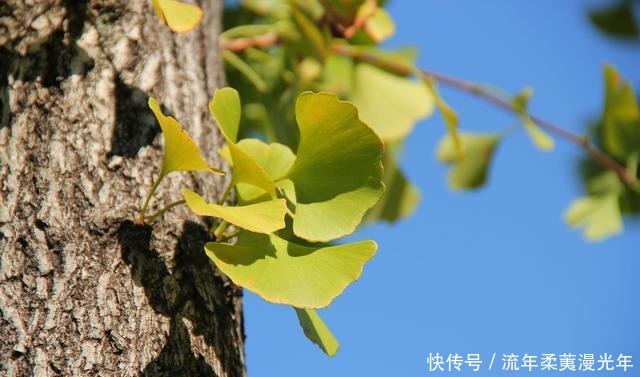 福报|掌门说人到四十,莫做四事,尤其是第二件,极损你的福报