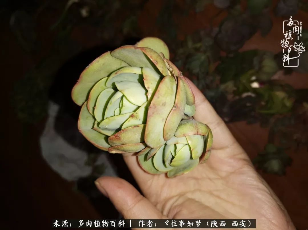 愿你付出甘之如饴,愿你所得归于欢喜!