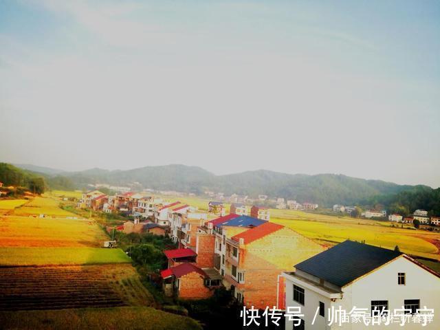 秋韵#【七绝·秋韵】清风伴我不孤行,晨起轩窗有鸟鸣