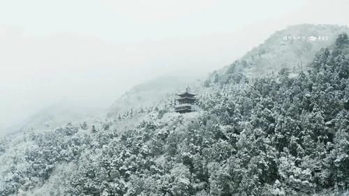 不见了纷扰|十二月，在华清宫等雪，也等你