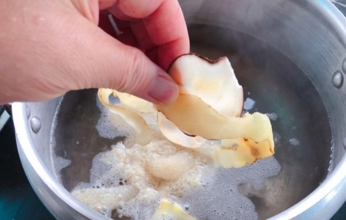 竹笙|朴素清淡的一碗汤，食材不简单，营养更丰富