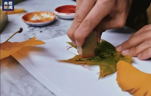 陕西师范大学|太浪漫！这所高校收集上千片叶子，只为这件事