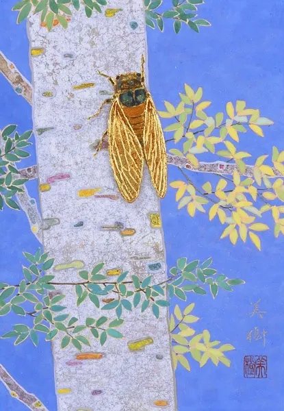 寒蝉|立秋之后,寒蝉鸣