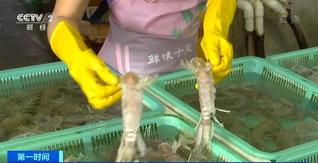 冯丽娟|吃了海鱼头，他差点被截肢！这些人群，吃海鲜千万要注意→