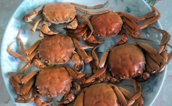 放在冰箱|3种食品如果隔夜,谨记:一定要扔掉,别让“无知”害了健康!