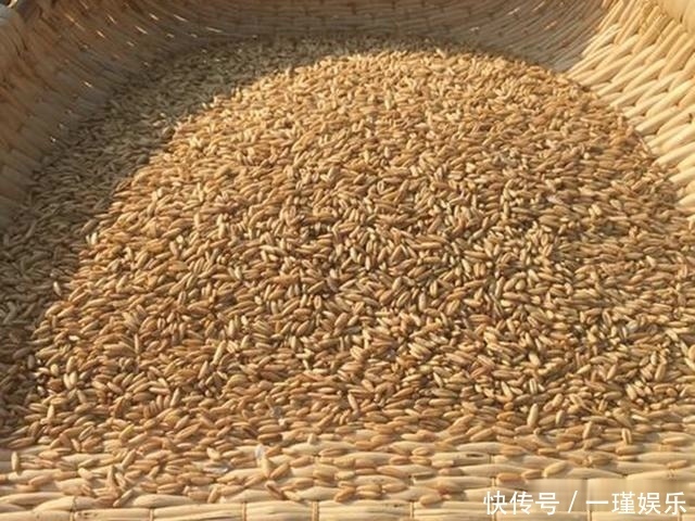 钓友在家自制钓鱼窝料,10斤花费50元,配方公布大家说划算不