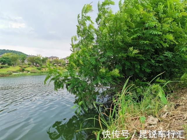 都说大降温不适合钓鱼,有人却在偷偷“发财”,实战才是王道