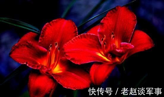 旧爱|8月中旬，桃花朵朵，彼此相爱，经过坎坷，再结良缘，旧爱终回眸