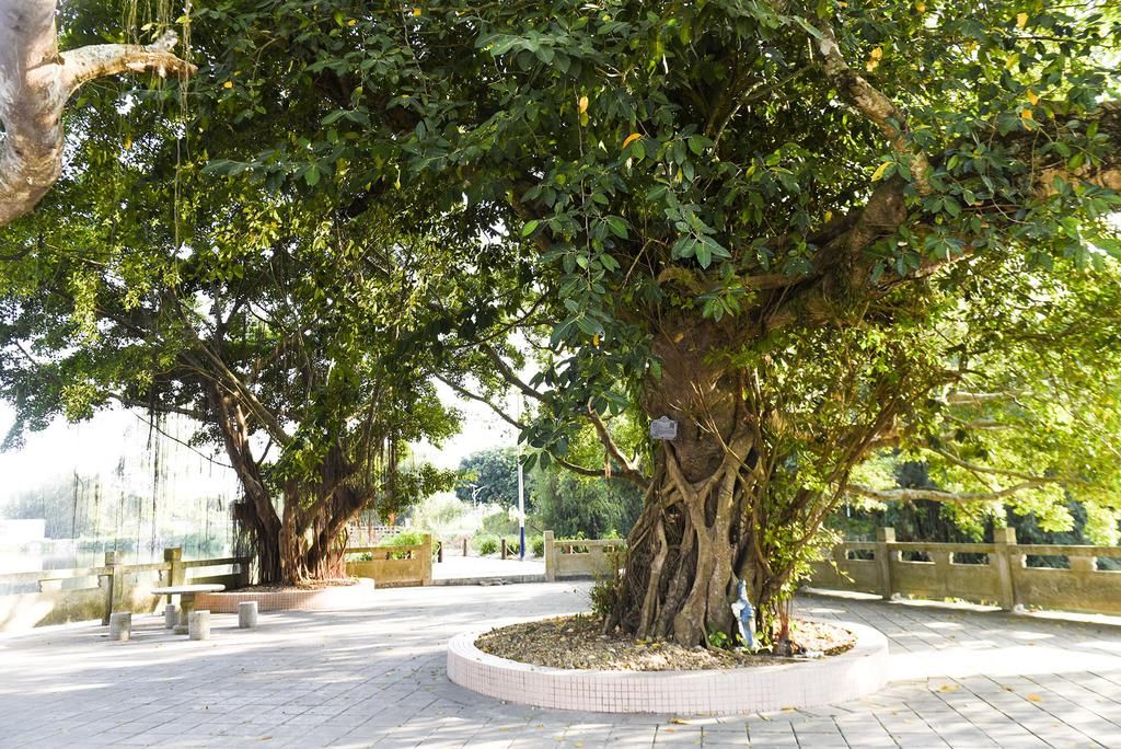  隐藏|1959年，人民大会堂挂上了一幅画，背后隐藏了2个有趣的故事