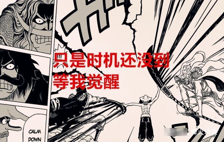 贝克曼|海贼王1028话解析:乌索普能否和以藏一样,一枪打掉三灾的武器?