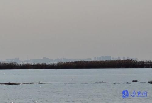 家园|洪泽湖再现海市蜃楼？今早有市民看到湖面矗“高楼”