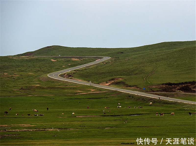 走进草原，门可罗雀达达线，国道收费很败兴