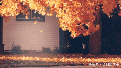 作品|石头老师作品:《秋之歌》诵/沐兰