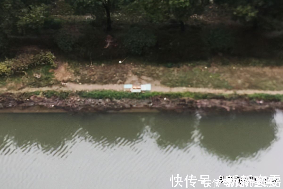 钓具|钓友脑洞大开,鸡肝十三香钓罗非,渔获让他“出人头地”