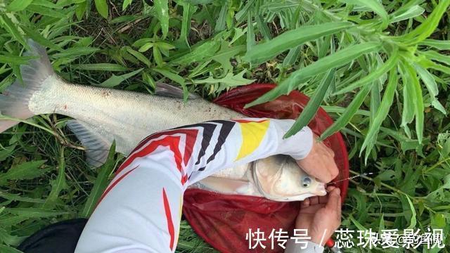 钓友|钓鱼中“七大未解之谜”,钓鱼人经常遇到但又没法解释