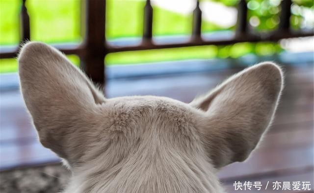 为了一盆花,家人关系彻底破裂,花有什么错?