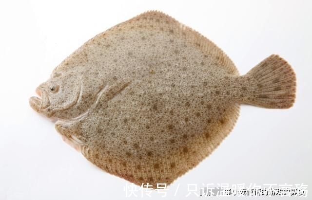 微量元素|这“6种鱼”适合给孩子吃,肉多刺少味道鲜,能健脑补钙又长个子