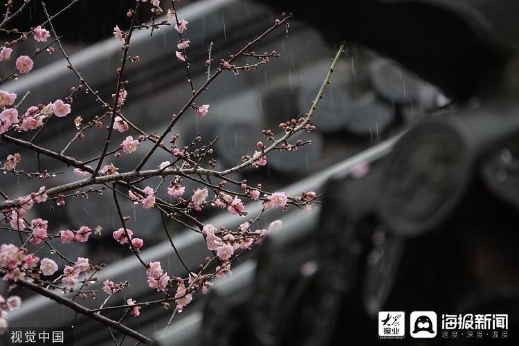 雨水|诗话雨水丨好雨知时节，当春乃发生