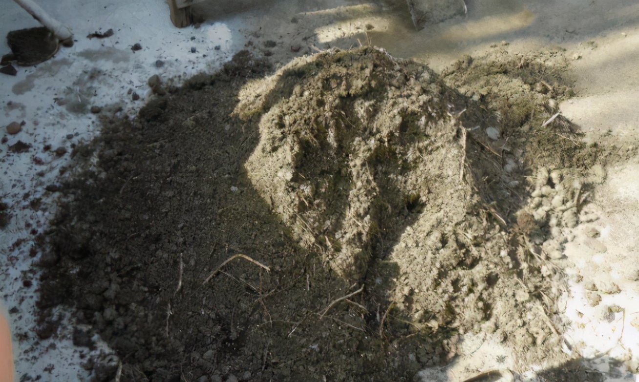 花友们|花土问题无小事，牢记3点，养花土不轻易结块，花根长得更壮实