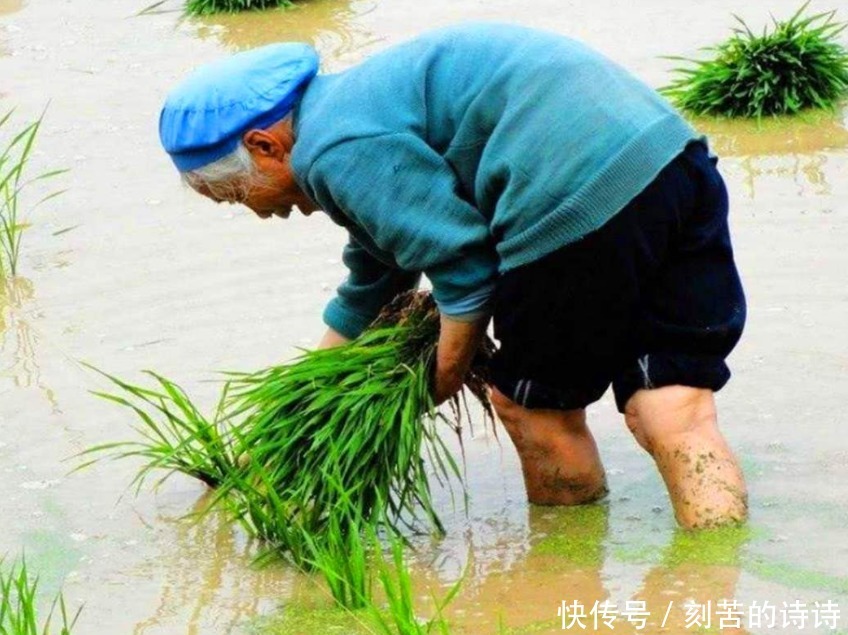 “有福之人两腿毛,无福之人毛两腿”,到底什么意思看后才明白