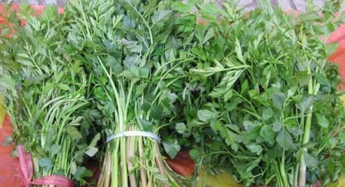 保护心血管|农村喂猪的野菜,有的被称为“皇帝菜”,有的2块钱一把,还好吃