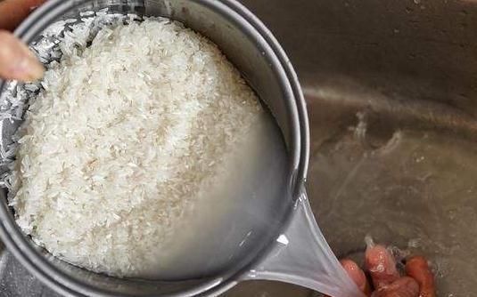 养这“3种花”,7天就要喂点“酸水”,不然根烂、花儿落,只剩枝