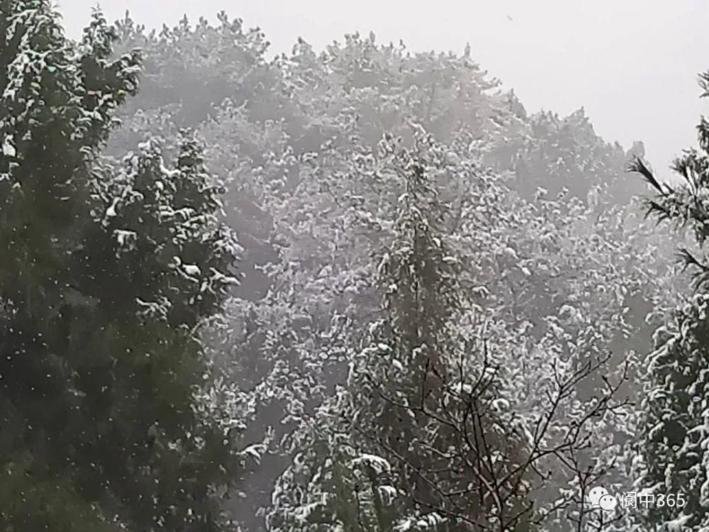 妙高镇金城山雪景图