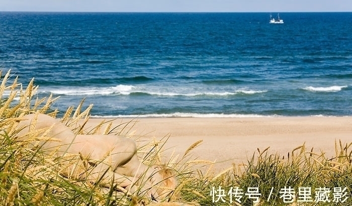 枯树$美女不穿衣服藏进大自然,惊人伪装考验你的眼力!1秒找到真汉子