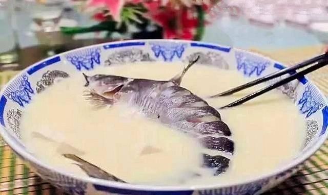 吃绝|它常被误认成鲶鱼,一斤180元比刀鱼鲜美,如今被当补品快吃绝了