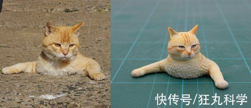 长颈狗|全球的猫都想屏蔽这个日本人,他到底做了多少沙雕手办?