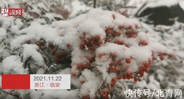 临安|浙江多地下雪！一地积雪厚度达3公分……