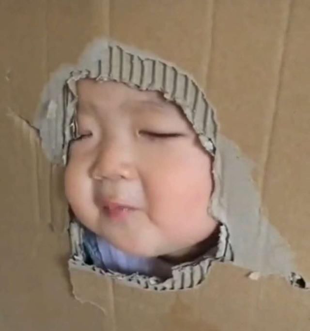 纸箱|宝宝吃饭到处乱爬,爸爸打造“囚笼”限制宝宝,妈妈看后拍手称赞