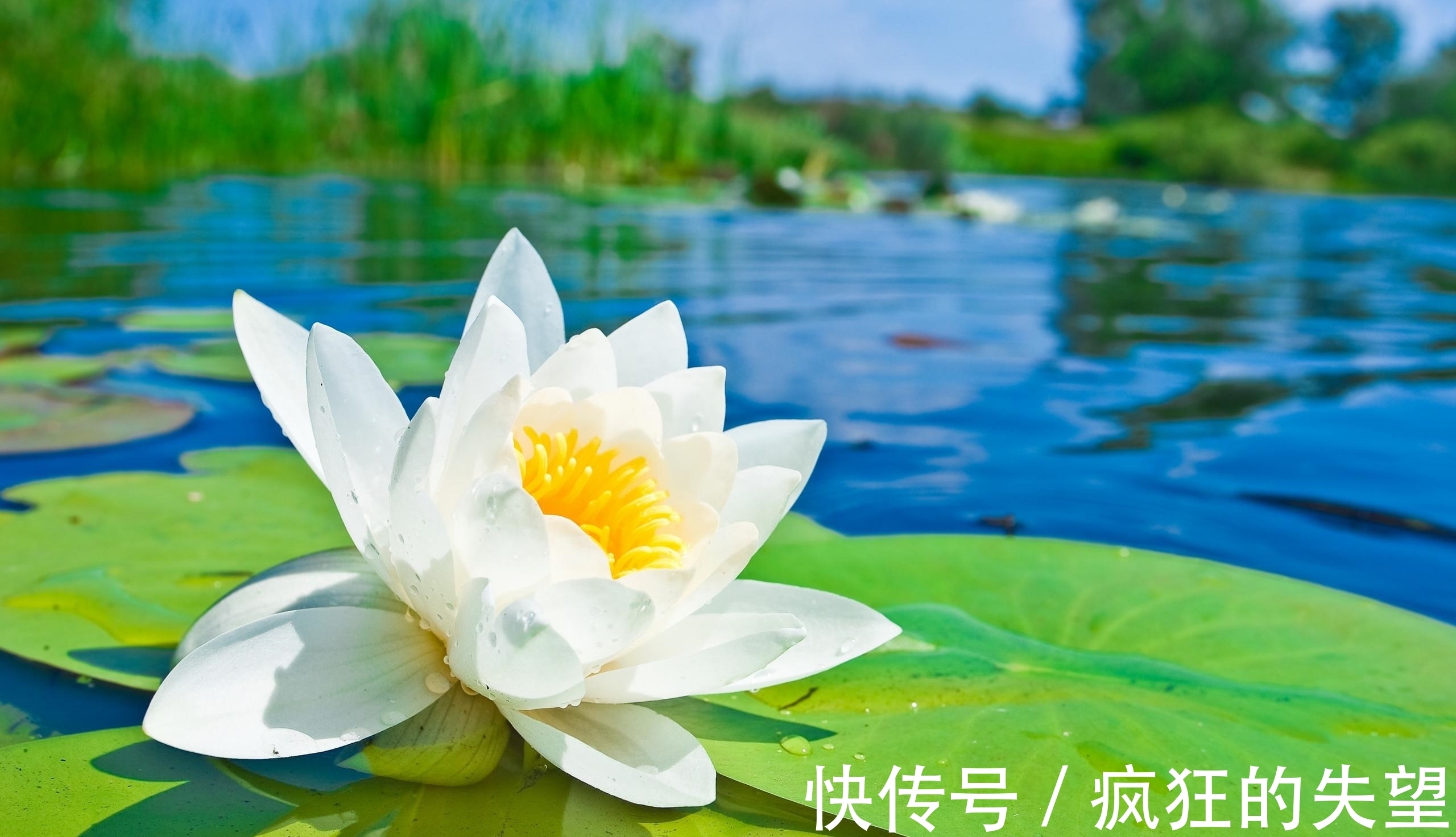 空性@对于鬼神，你信还是不信？《心经》中给出这样的解释