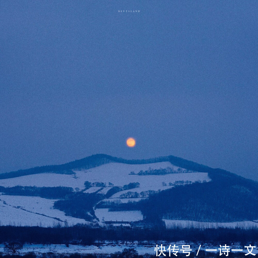 荒原@饮酒煮茶,围炉夜话,任他风雪扣柴门,但有杯中酒正温