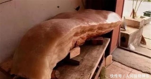 文物|老汉上山捡到大型“猪肉石”，有人给10万不卖，鉴宝结果如何？