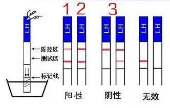 这样备孕，成功率高，还能让宝宝更健康！