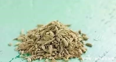 蔬菜|它是最厉害的绿叶蔬菜, 冬季吃它, 养阳驱寒, 还是胃病克星!