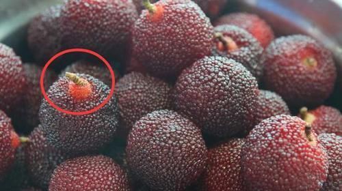 水果|有4种水果寄生虫非常多,大人尽量少吃,更别说小孩,最好都别吃