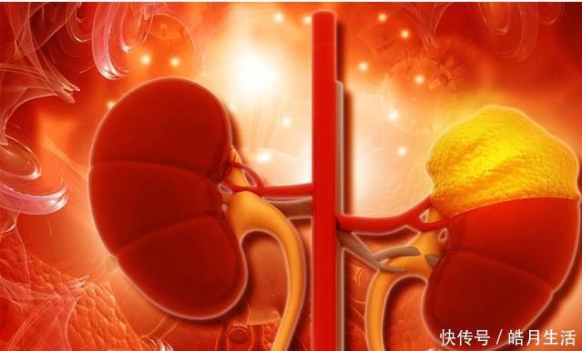 健脾祛湿|一两茯苓一两金,茯苓和它“很般配”,有助健脾祛湿,告别大肚腩