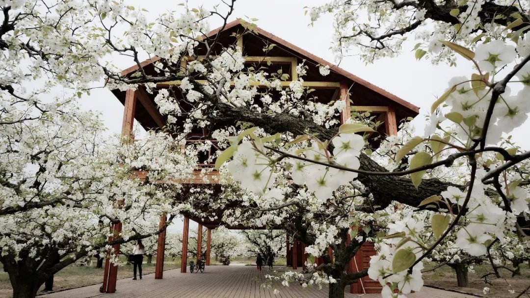 中国画!读韵——朱烨、邵伟、史经坤、张杨、晏硕中国画邀请展