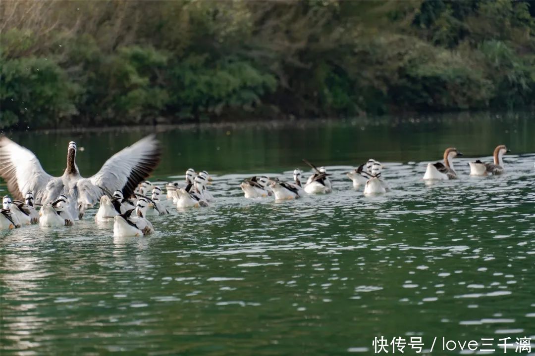 三千漓丨春风送暖百花开，正是赏景好时节