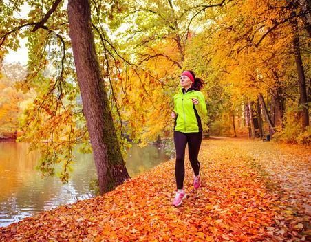 养生三个字之二：少、生、远