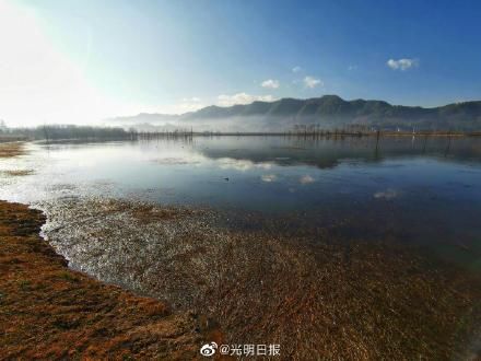 爱鸟护鸟|念湖如何成为鸟之乐园