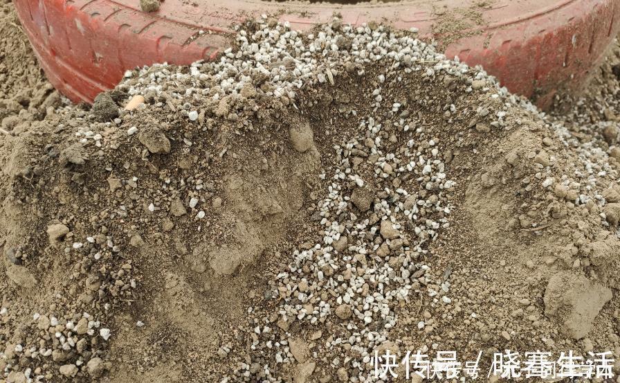发酵|想要花儿长的好,有4种土,扔掉也别用,特别是新手要谨慎使用