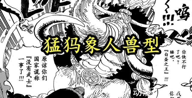 犬岚|海贼王1023:不讲理的日夜双王,重伤叠加副作用,竟然还能开挂