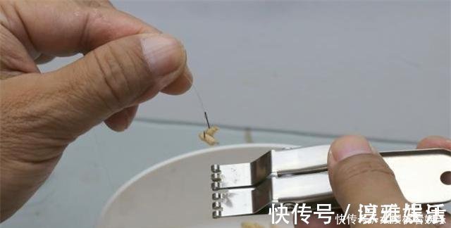 钓饵|这东西常人难以接受,却是很不错的钓鱼饵料,钓鲫鱼鲤鱼效果绝佳