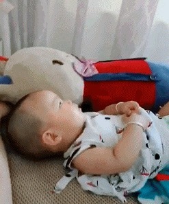 |搞笑GIF:夫妻在一起工作,这样才会更有安全感